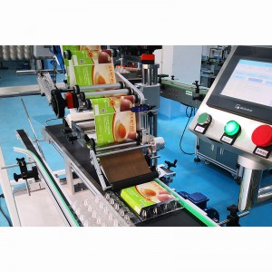 YCT-00 Máquina de rotulagem totalmente automática para bandeja de ovos