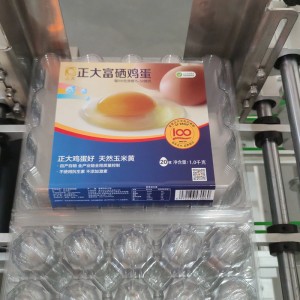 YCT-00 Fully automatic egg tray labeling machine