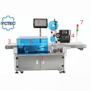 Cân rau củ quả tự động YCT-Z8