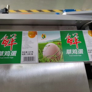 YCT-00 Fully automatic egg tray labeling machine